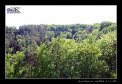 melnik_09__re_444.jpg