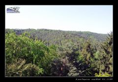melnik_09__re_446.jpg