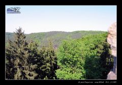 melnik_09__re_449.jpg