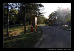 melnik_09__re_522.jpg