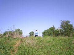 melnik_09_marcel505_001.jpg