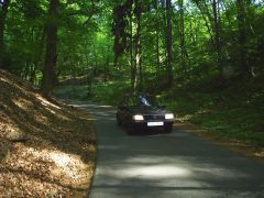 melnik_09_marcel505_009.jpg