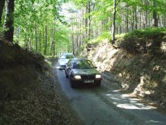 melnik_09_marcel505_011.jpg