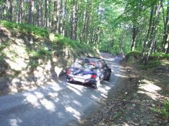 melnik_09_marcel505_012.jpg