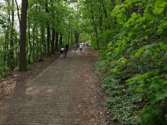 melnik_09_hurvajz_029.jpg