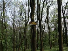melnik_09_hurvajz_038.jpg