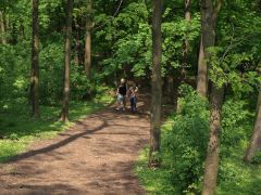 melnik_09_hurvajz_044.jpg