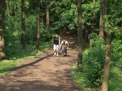 melnik_09_hurvajz_045.jpg