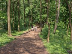 melnik_09_hurvajz_046.jpg