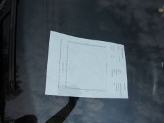 IMG_2479.JPG
