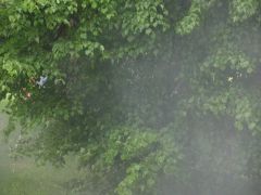 IMG_2491.JPG