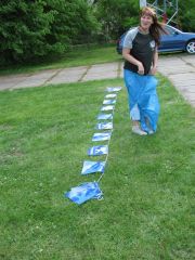 IMG_2517.JPG