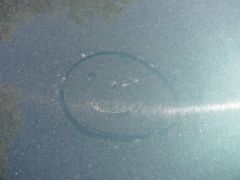 IMG_2539.JPG