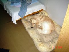 P-C_2009_Melnik_005.JPG
