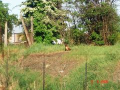 P-C_2009_Melnik_006.JPG