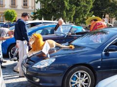 P-C_Lednice_2010_043.JPG