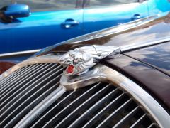 P-C_Lednice_2010_084.JPG