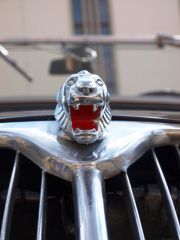 P-C_Lednice_2010_085.JPG