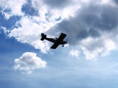 P-C_Lednice_2010_098.JPG