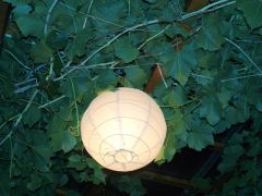 P-C_Lednice_2010_106.JPG