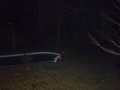 P1000540.JPG