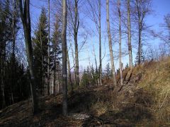 P1010139.JPG