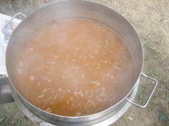 P6067119.JPG
