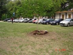 DSC04631.JPG