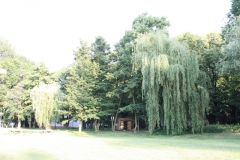 Obrazok_010.jpg