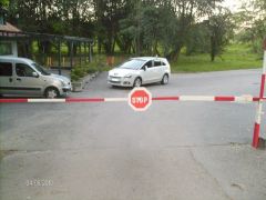 pastorek-030.JPG