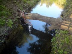 DSC01737.JPG