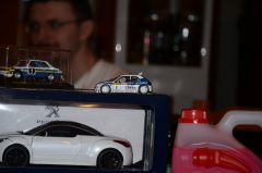DSC_0725.JPG