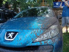 resize_of_dsc06597.jpg