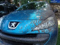 resize_of_dsc06598.jpg