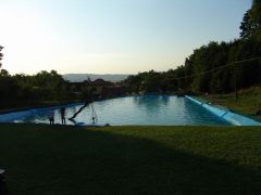resize_of_dsc06540.jpg