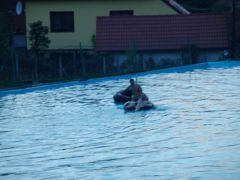 resize_of_dsc06577.jpg