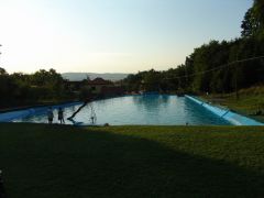 resize_of_dsc06541.jpg