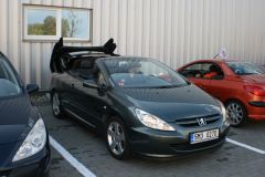IMG_3644.jpg