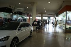 IMG_3583.jpg