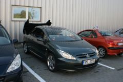 IMG_3647.jpg