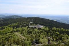DSC_2533.jpg