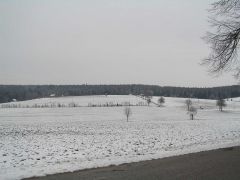 P2190012