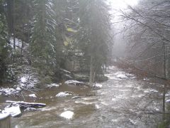 P2210236.jpg