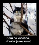 post-18085-0-24874300-1451901100_thumb.j