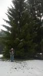 post-27765-0-73400700-1455965921_thumb.j