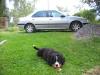post-0-14109596042412_thumb.jpg