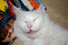 post-0-14109596961861_thumb.jpg