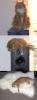 post-0-14109598691834_thumb.jpg