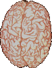 post-0-14109602313339_thumb.gif