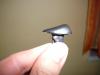 post-0-14109604253243_thumb.jpg